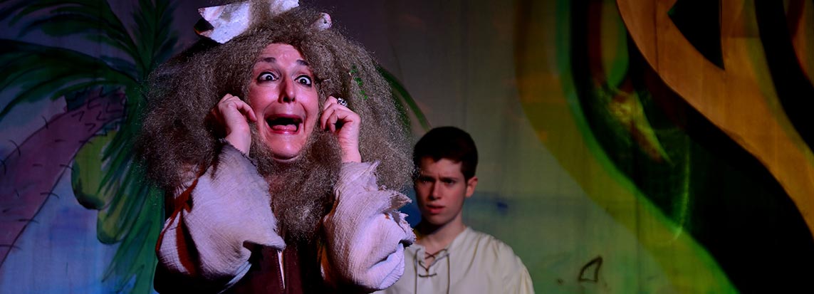 Comparte tu pasión por el teatro con un acompañante